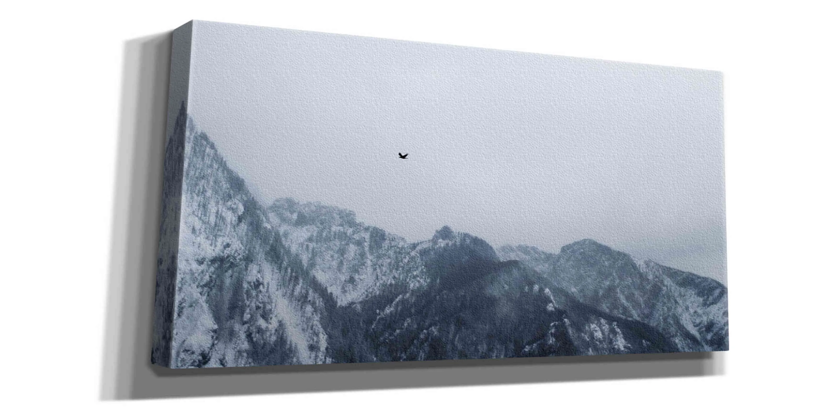 'Alpine Winter Bird' by Epic Portfolio, Giclee Canvas Wall Art