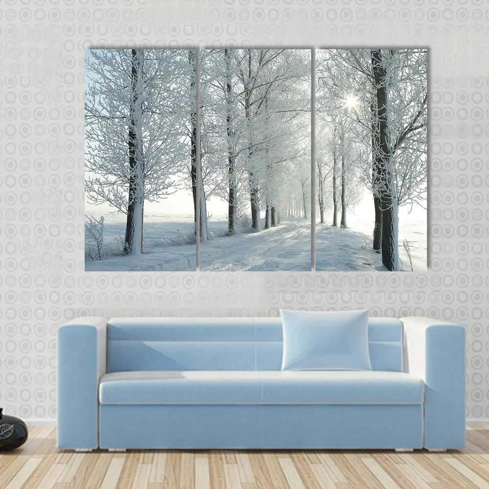 Country Road In Winter Canvas Wall Art