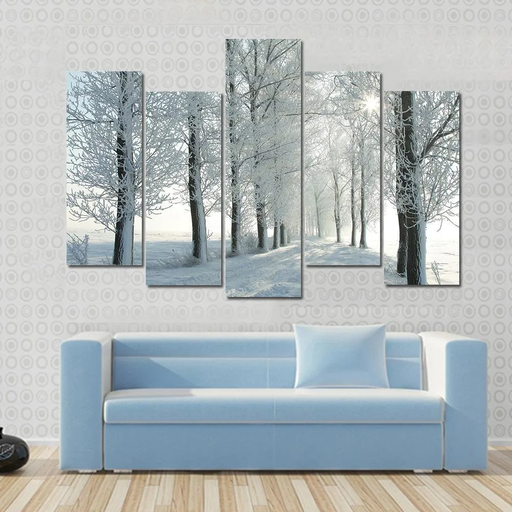 Country Road In Winter Canvas Wall Art