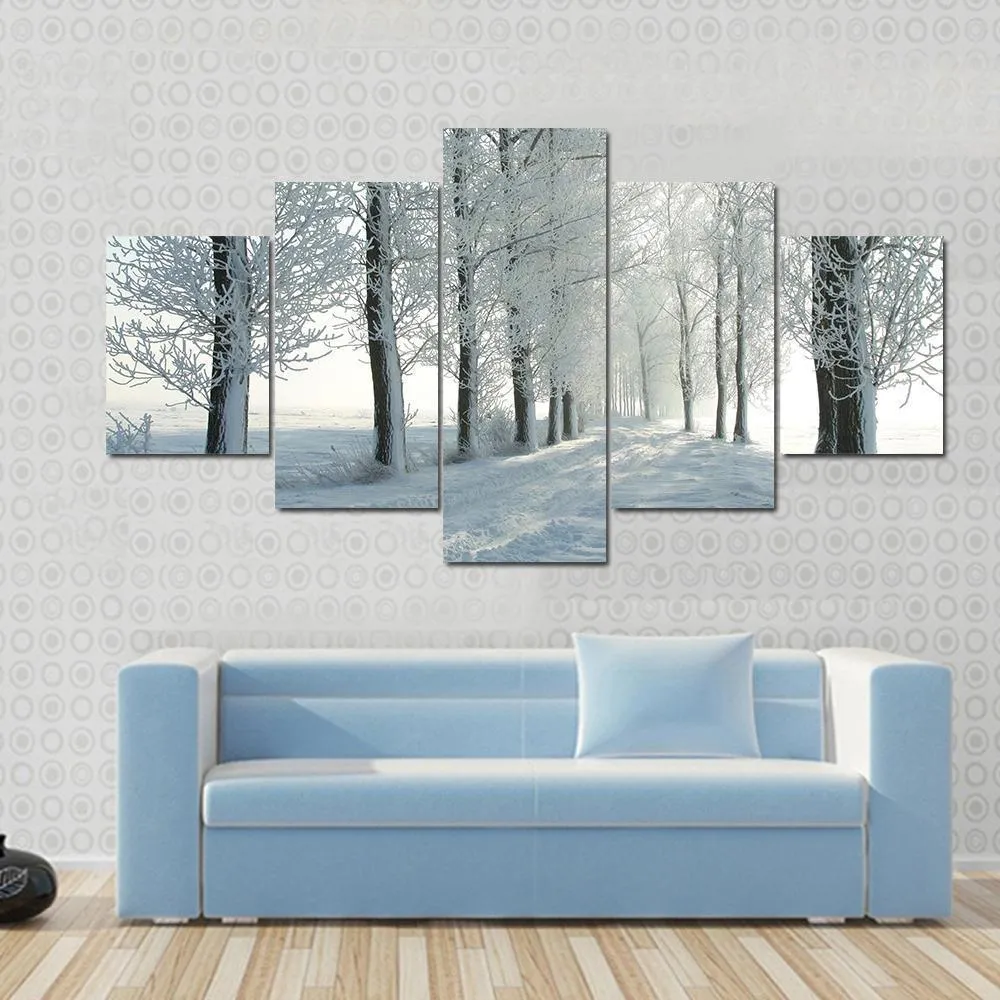 Country Road In Winter Canvas Wall Art