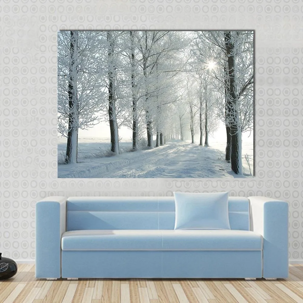 Country Road In Winter Canvas Wall Art