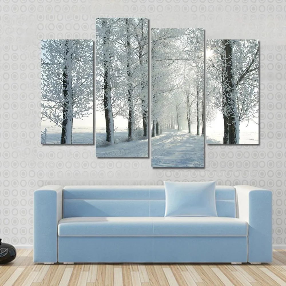 Country Road In Winter Canvas Wall Art