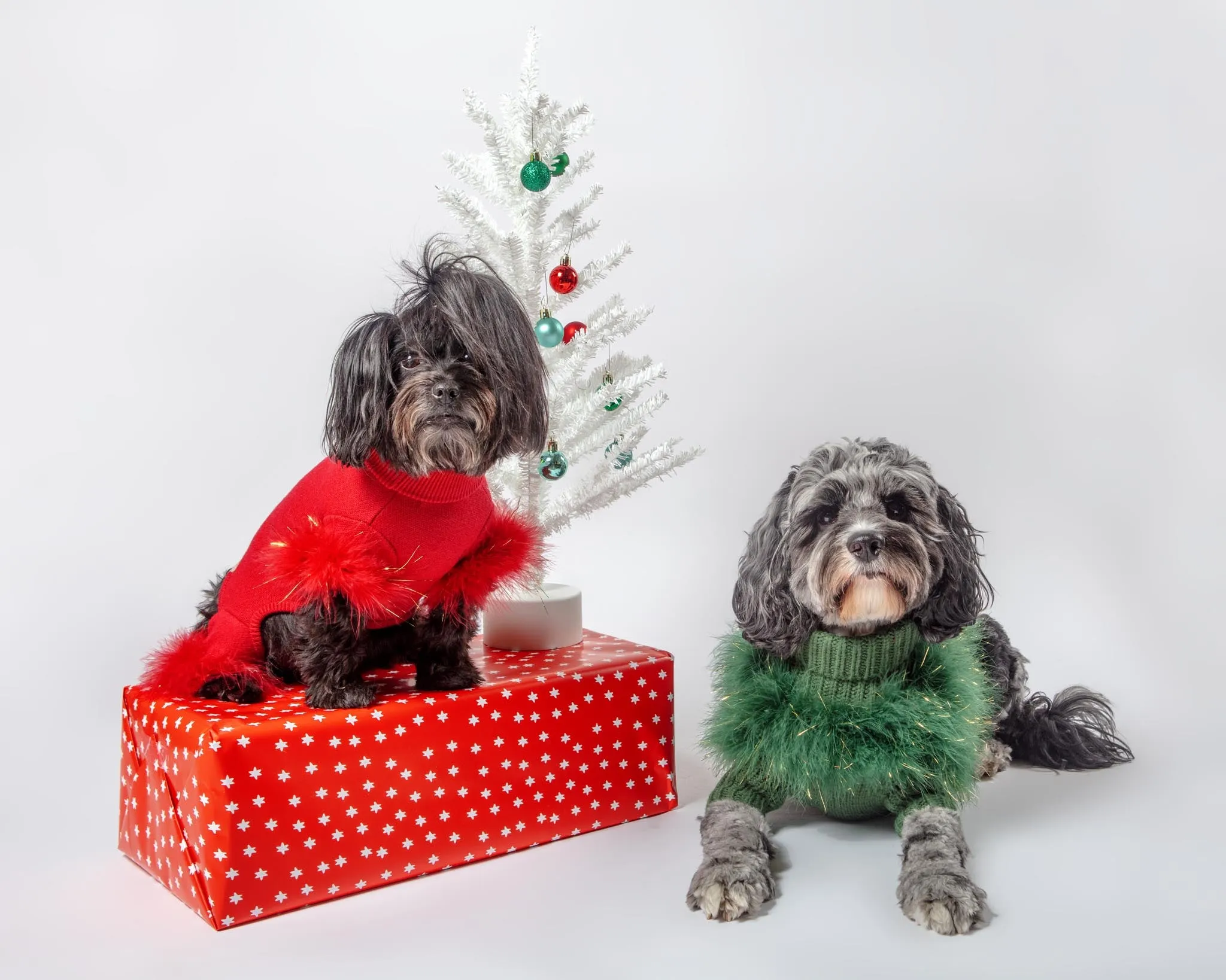 Holiday Glitz Feather Dog Onesie (FINAL SALE)