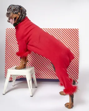 Holiday Glitz Feather Dog Onesie (FINAL SALE)