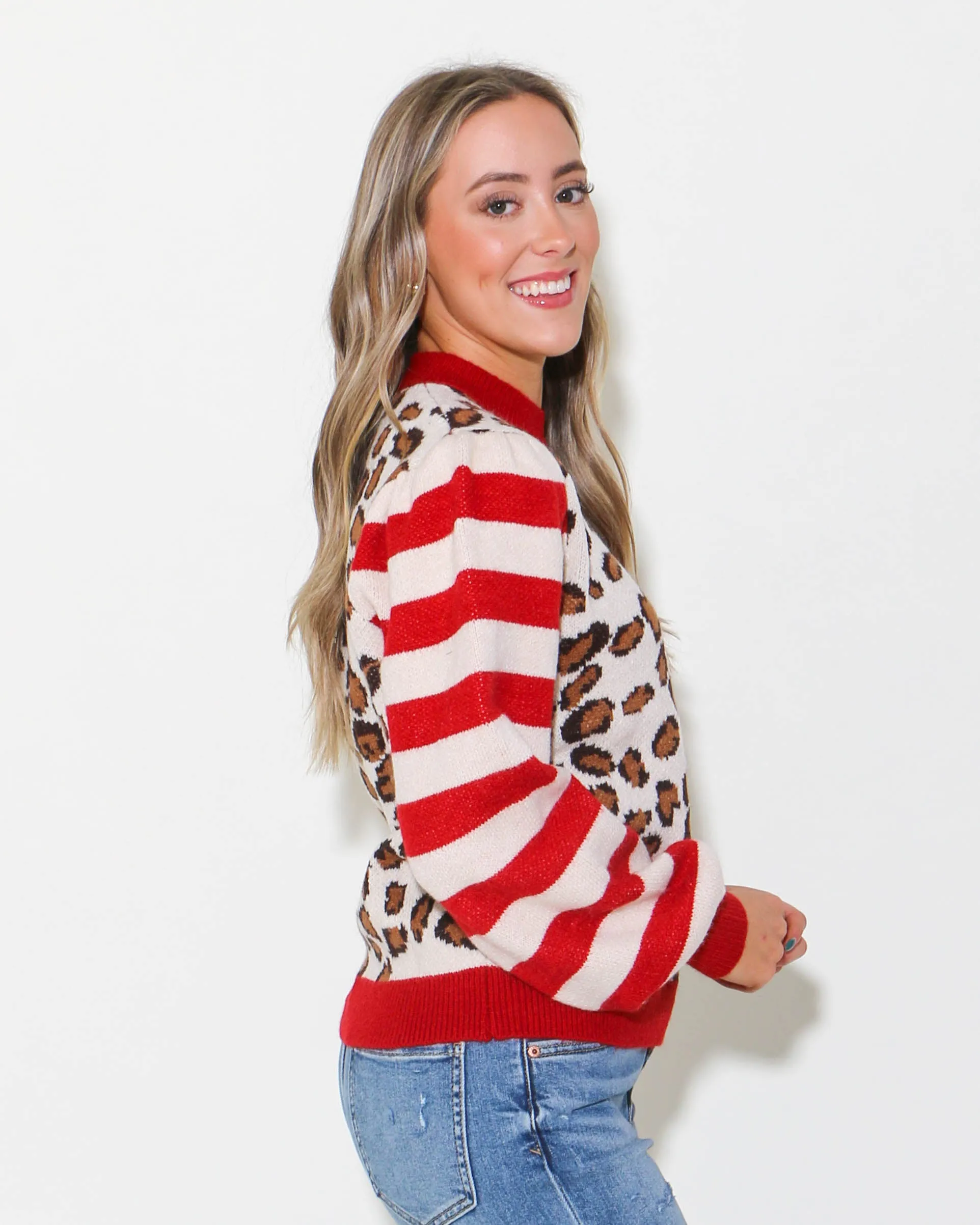 Leopard Striped Sleeve Sweater