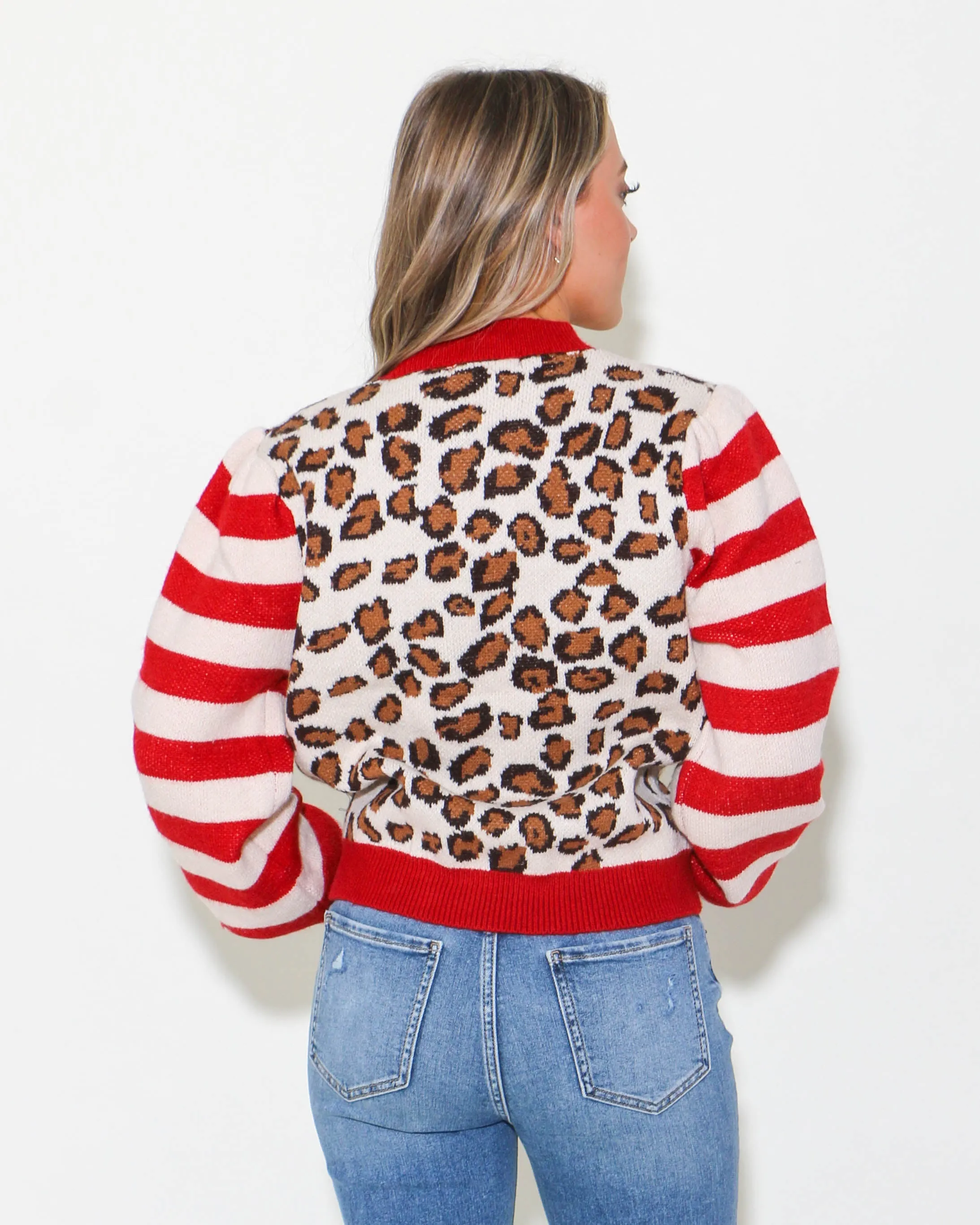 Leopard Striped Sleeve Sweater