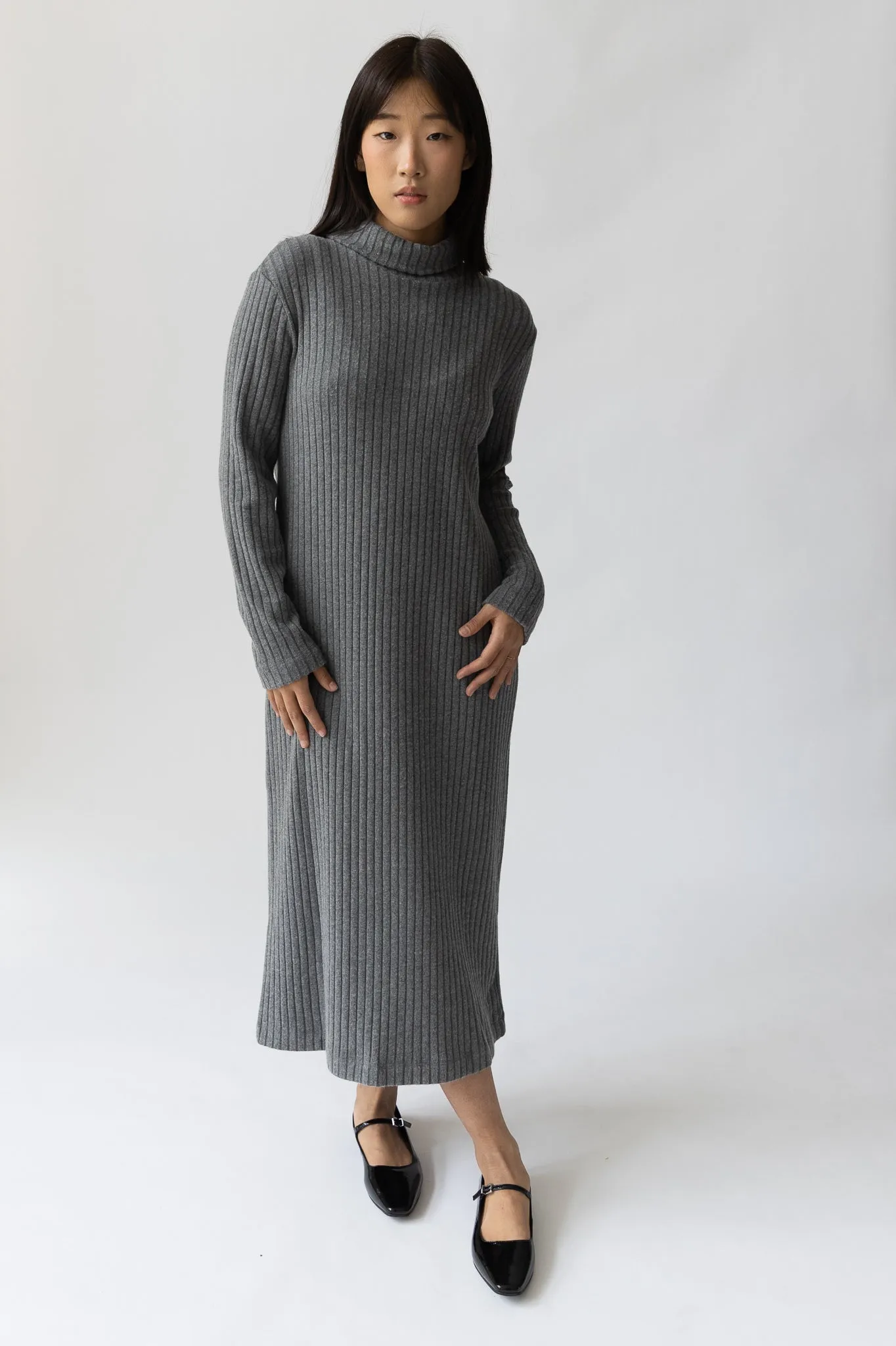 Rib turtleneck dress