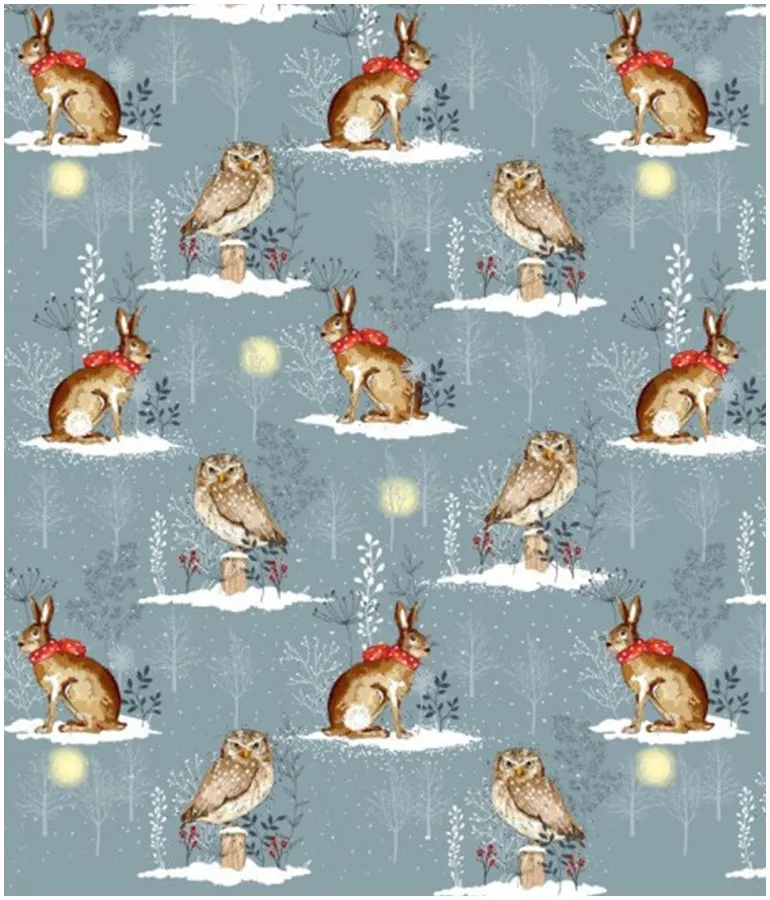 Winter Moon Owl & Hare - Junior Bib